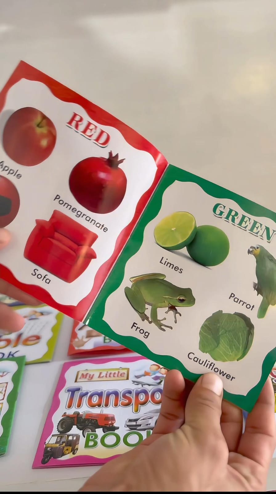 17-in-1 Kids Early Learning Book Set | ABC, 123, Animals, Colours & Rhymes