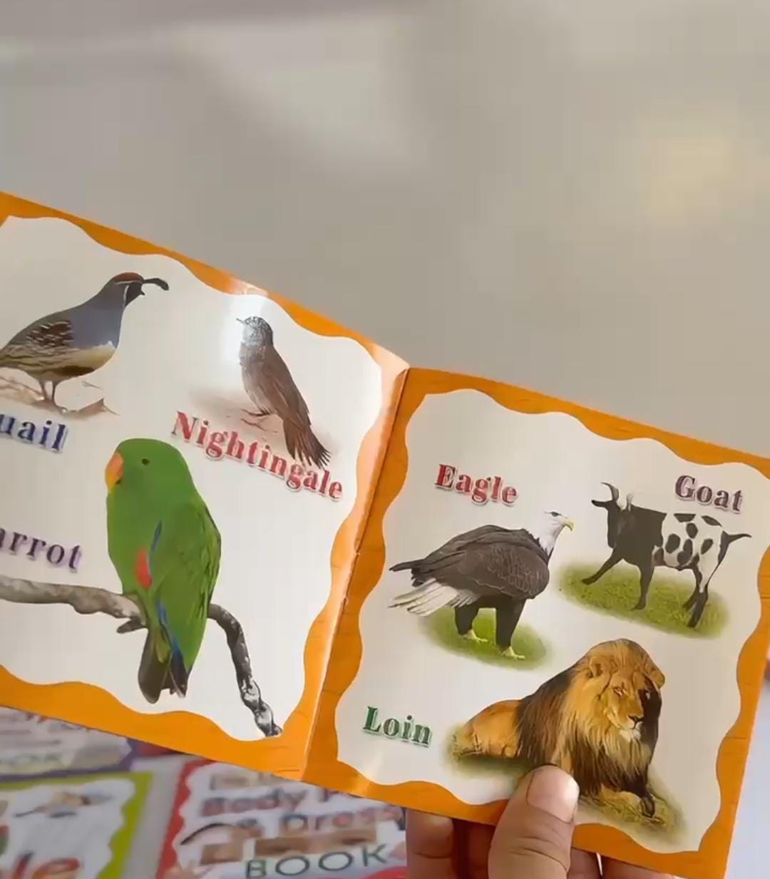 17-in-1 Kids Early Learning Book Set | ABC, 123, Animals, Colours & Rhymes